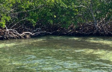 Private Island in Belize – Belize real-estate photo