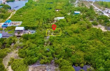 Northside Interior Lot for Sale – Belize real-estate photo