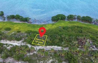 Northside Caye Caulker East Waterfront Property – Belize real-estate photo