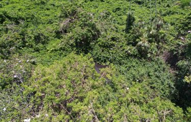 Cohune Caye: A Private Island Paradise in Belize – Belize real-estate photo