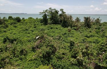Cohune Caye: A Private Island Paradise in Belize – Belize real-estate photo