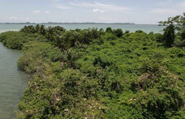 Cohune Caye: A Private Island Paradise in Belize – Belize real-estate photo