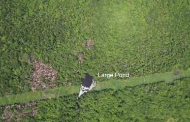 1,154-Acre Historical Estate in Orange Walk