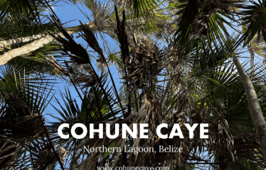 Cohune Caye: A Private Island Paradise in Belize – Belize real-estate photo