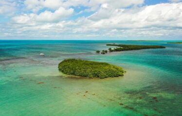 Dream Big: Private Island Paradise in Belize – $300k USD! – Belize real-estate photo