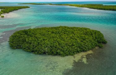 Dream Big: Private Island Paradise in Belize – $300k USD! – Belize real-estate photo