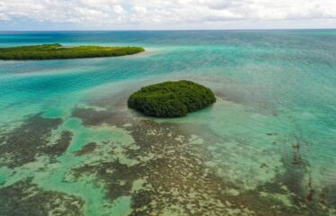 Dream Big: Private Island Paradise in Belize – $300k USD! – Belize real-estate photo