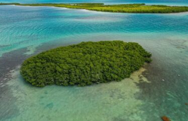 Dream Big: Private Island Paradise in Belize – $300k USD! – Belize real-estate photo