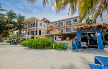 12 Unit Income Generating Popeyes Building for Sale!!! – Belize real-estate photo