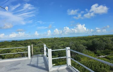 home for sale caye caulker